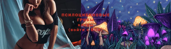 мескалин Михайлов