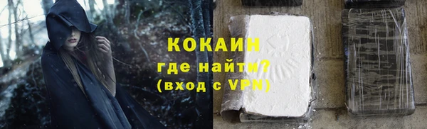 ГАЛЛЮЦИНОГЕННЫЕ ГРИБЫ Богданович