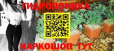 индика Волжск