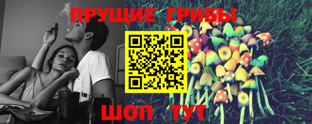 Галлюциногенные грибы прущие грибы  Псилоцибиновые грибы Psilocybe  Вход с VPN  Гуково 